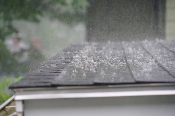 Best Roof Leak Repair  in Palm Beach, FL