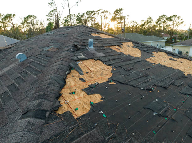 Best Roofing for New Construction  in Palm Beach, FL