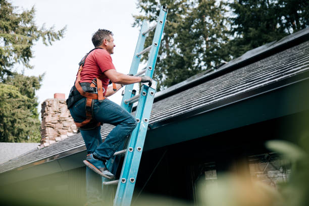 Best Roof Insulation Installation  in Palm Beach, FL